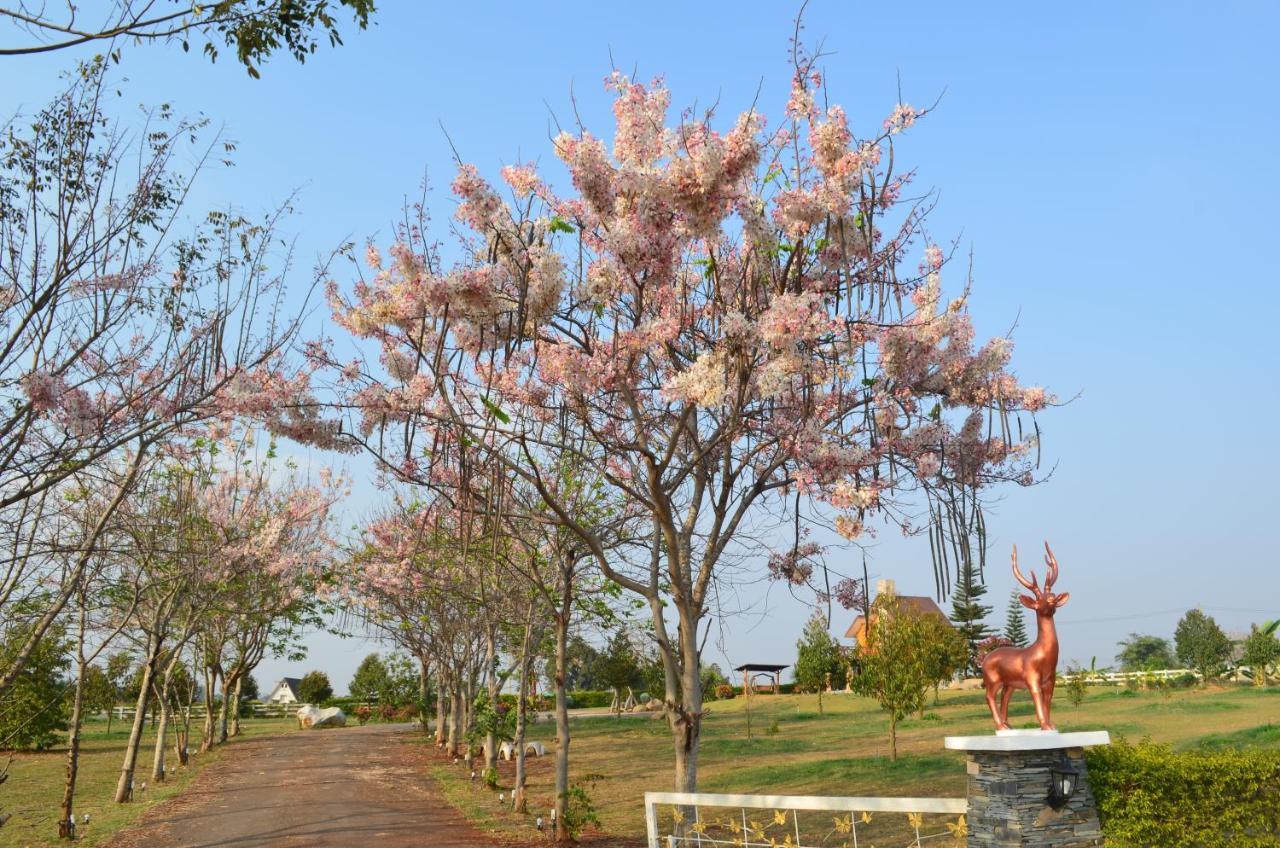 Wind Of Love Ban Tha Chang Экстерьер фото